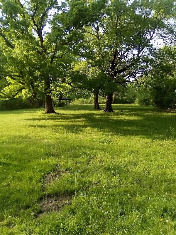 Baker Woods Forest Preserve - Image 3