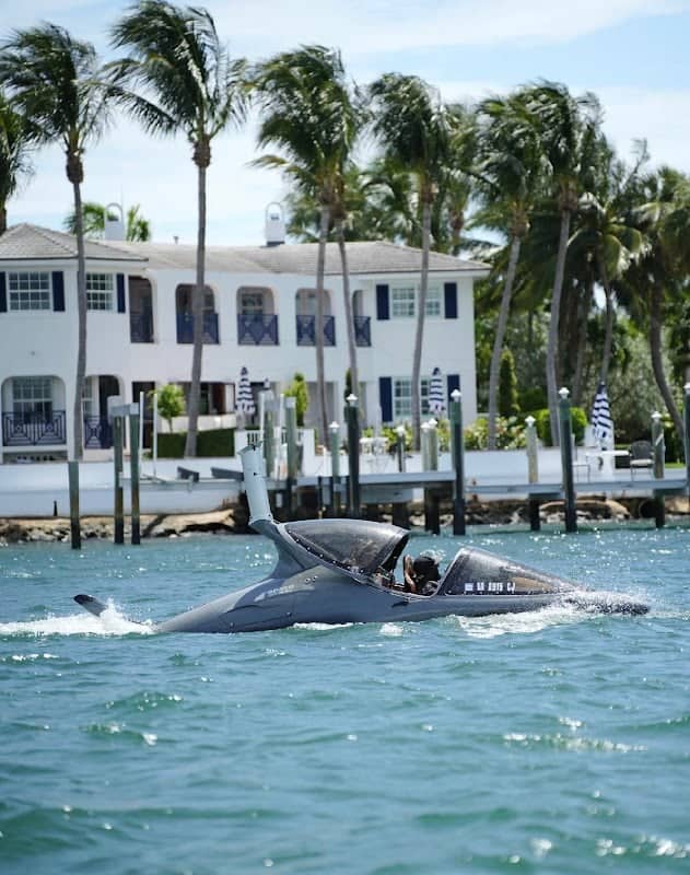 Big Fish Miami - Image 1
