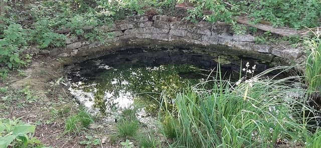Quelle - Image 1