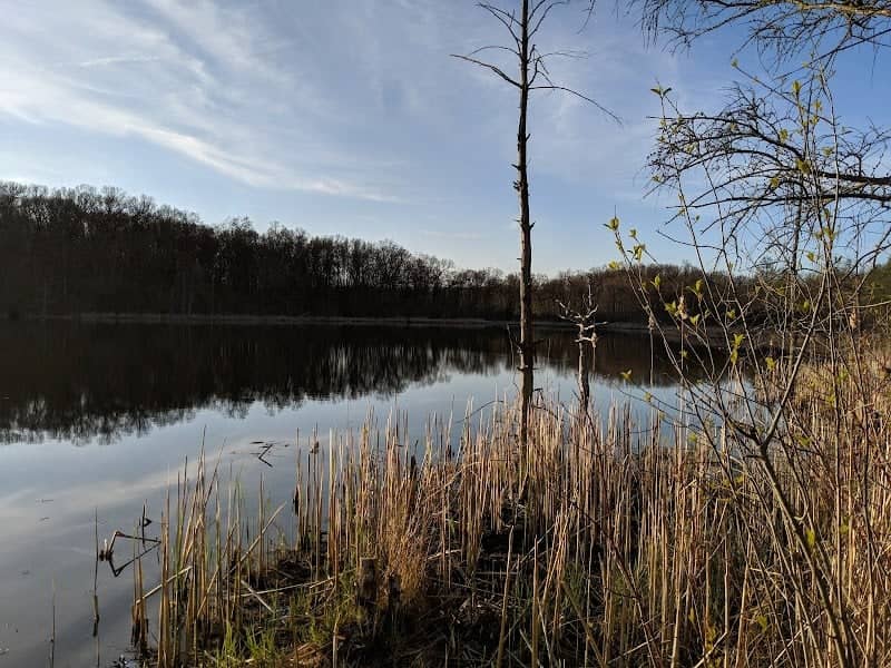 Ott Biological Preserve - Image 3