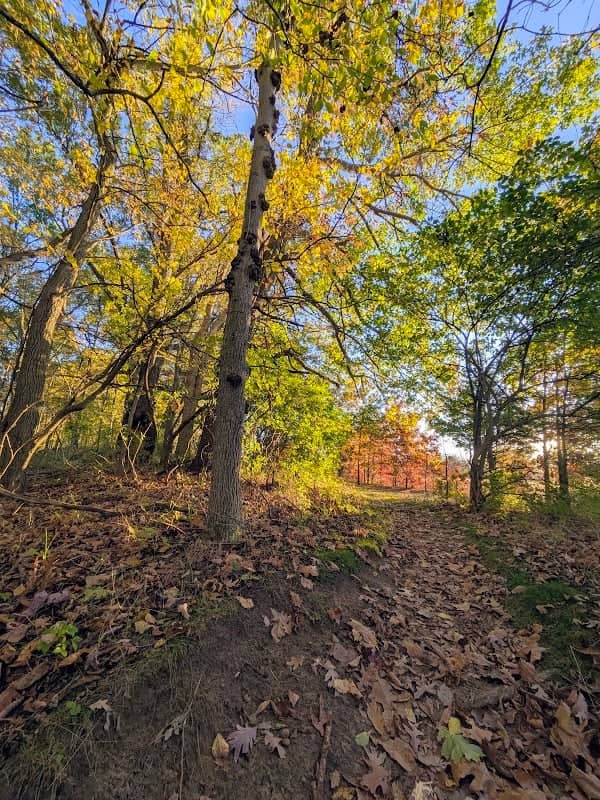 Heritage City Park-Sledding hill - Image 1