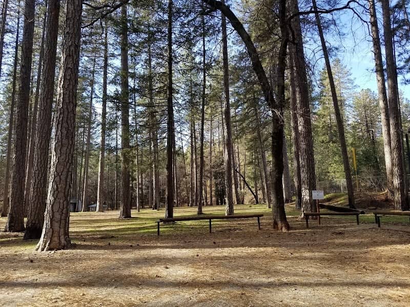 Paradise Dog Park - Image 1
