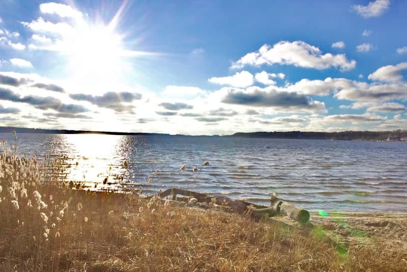 Svensson Park - Image 2