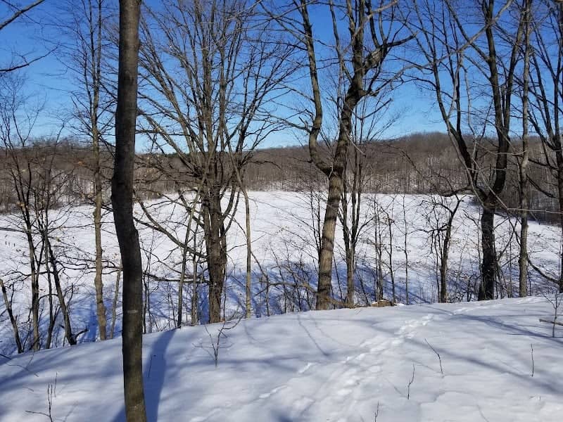 New Fane Trail Area - Image 1