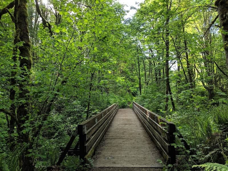 Coal Creek Natural Area - Image 1
