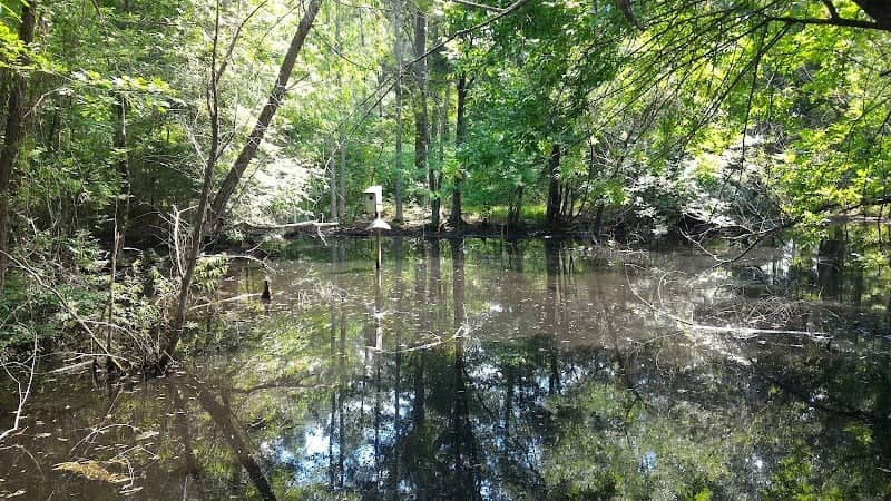 Arrowhead Wildlife Management Area - Image 2