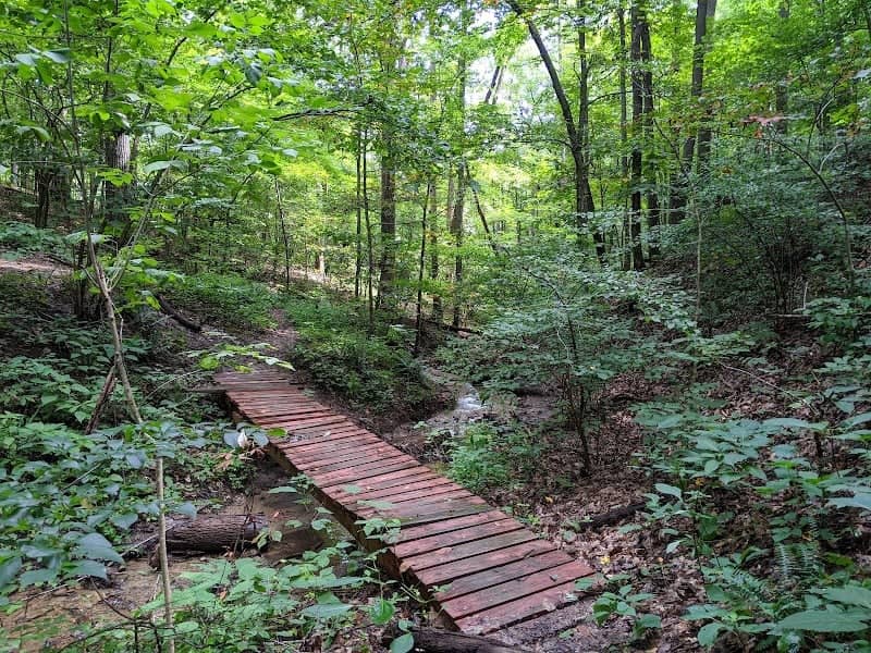 Mid County Park Trail - Image 2