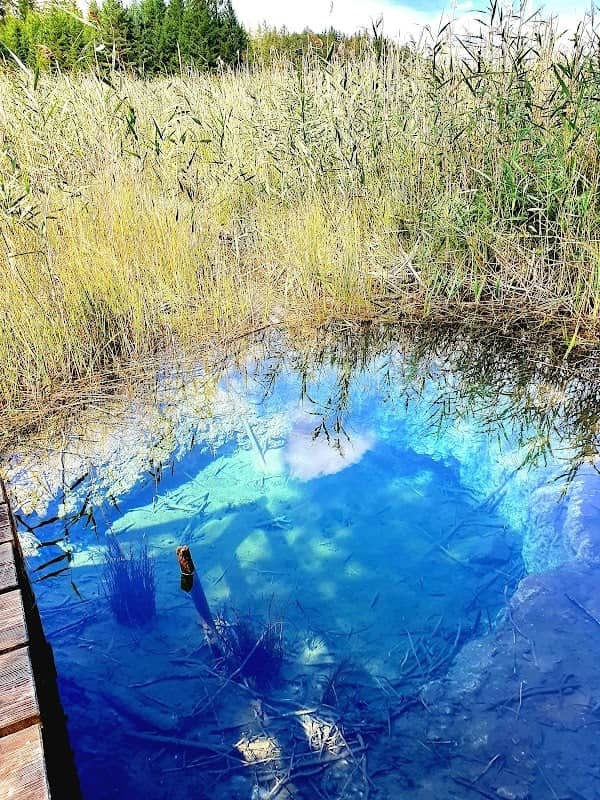 Blaue Gumpe - Image 1
