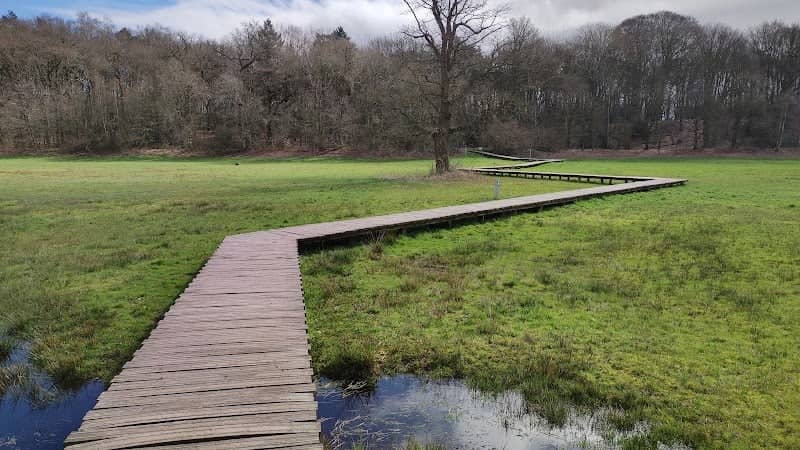 Renkums Beekdal natuurgebied - Image 2