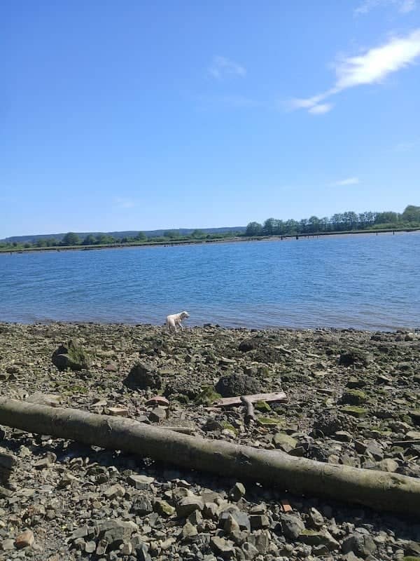 boat launch - Image 1