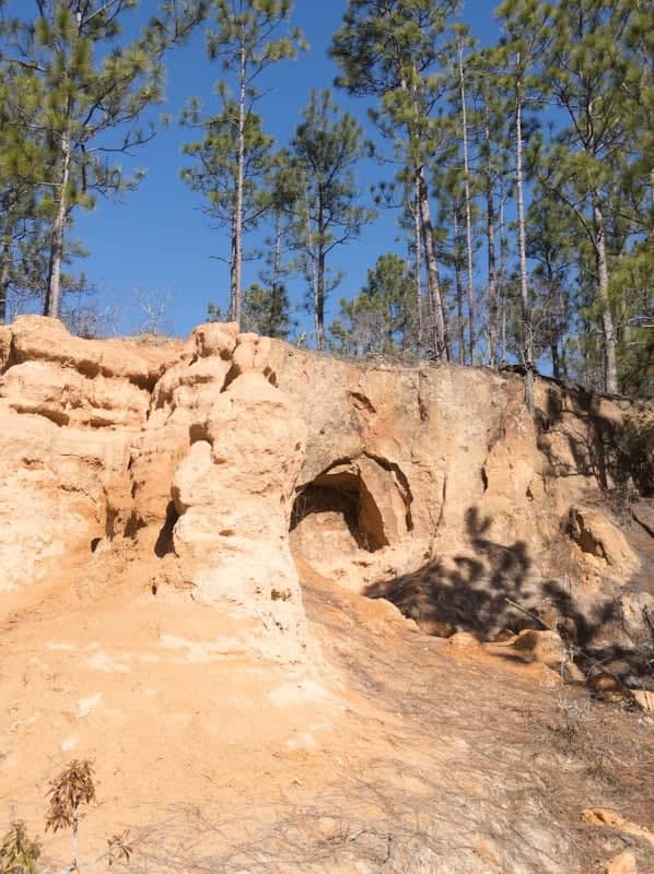 Henderson Heritage Preserve - Image 2