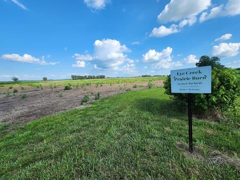 Lye Creek Prairie Burn (Bird Sanctuary) - Image 1