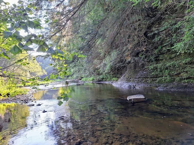 Wolf Creek Narrows Nature Preserve - Image 2