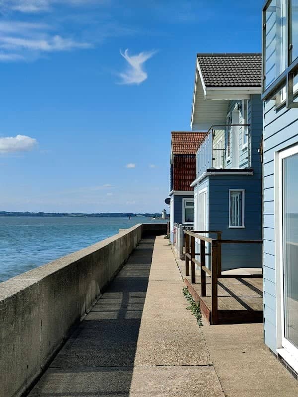Point Clear Whelk - Image 2