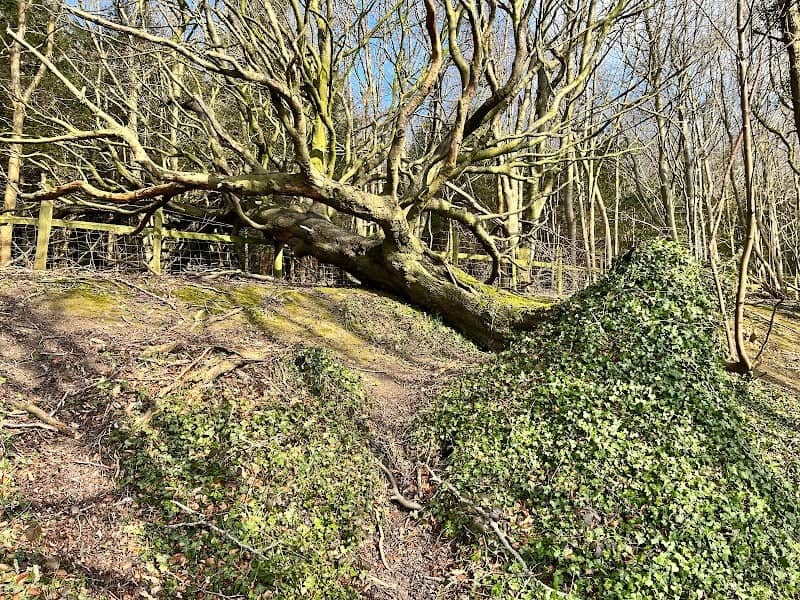 Westwell Downs - Image 1