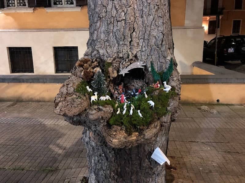 Presepe nell’albero - Image 2