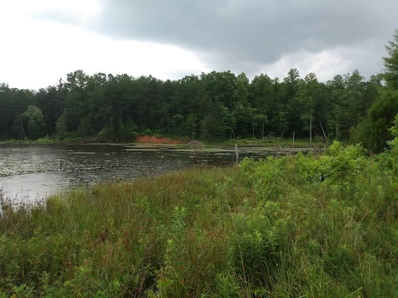 Countywide Park - Image 2