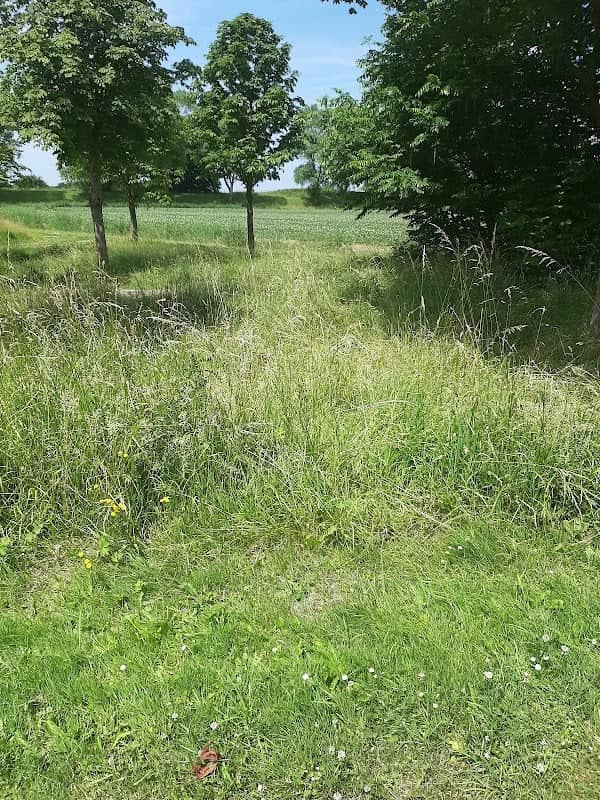 Recreatiegebied Lewedorp - Image 1