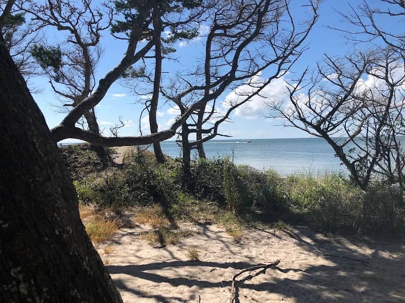 Springer's Point Preserve - Image 1
