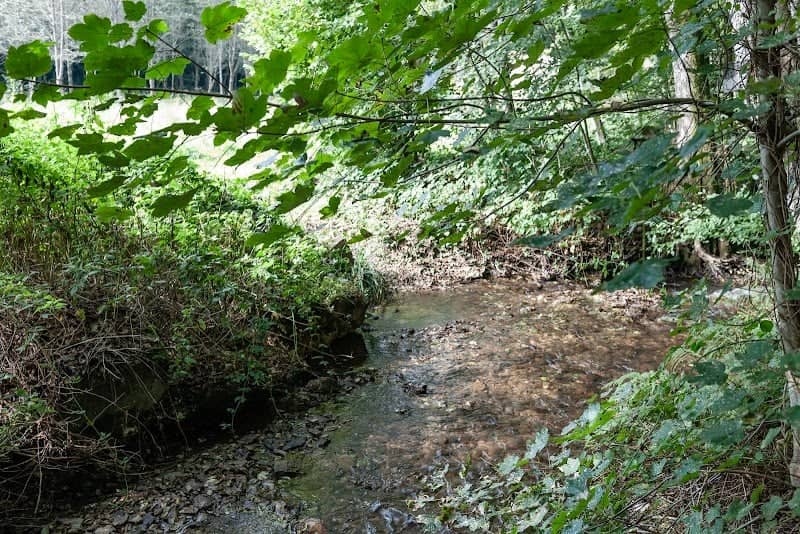 Le long du Ruisseau de Naidimont - Image 1