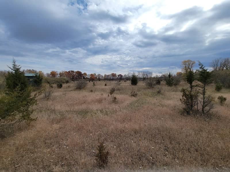 Atherton Natural Area - Image 1