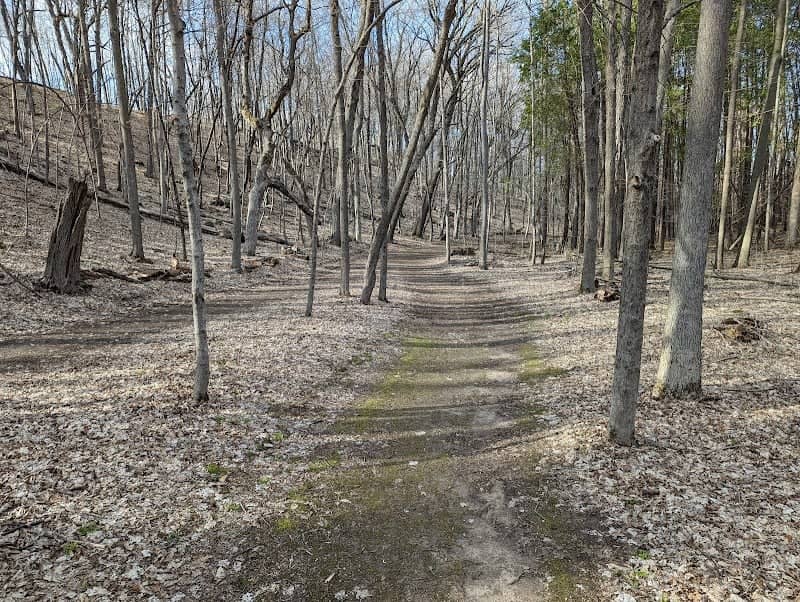 Fox Hill Nature Preserve - Nordic Trails - Image 3