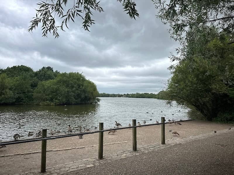 Dinton Pastures Country Park - Image 2