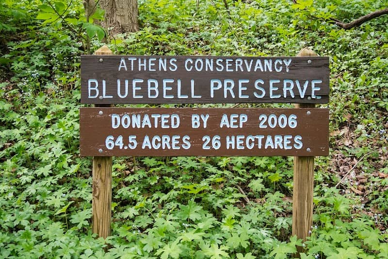 Bluebell Preserve - Image 3