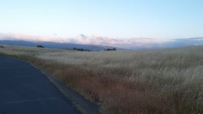 Wallace Stegner Pathway - Image 3