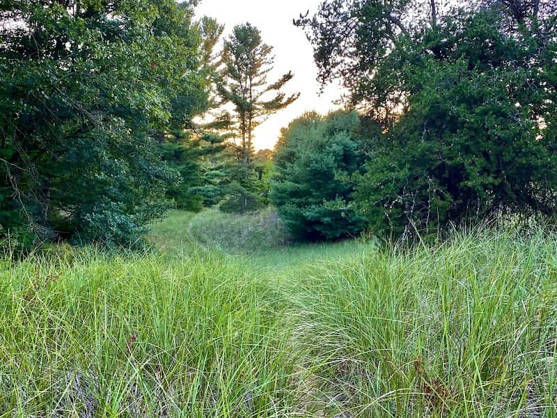 Ferrysburg Nature Preserve - Image 2