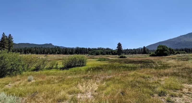 Lam Watah Nature Trail to Nevada Beach - Image 1