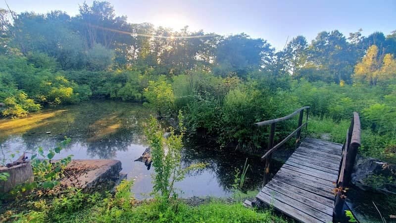 Oasi di Volta Grimana loreo - Image 1