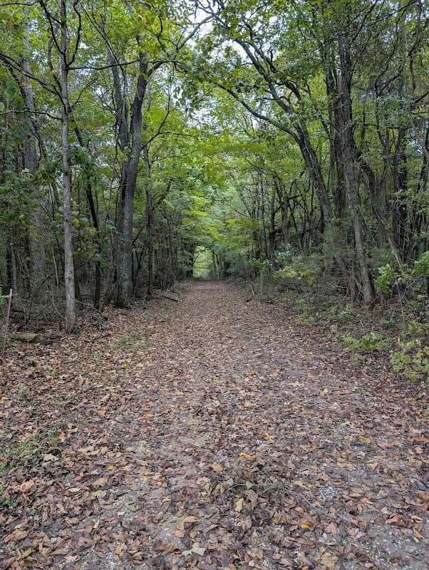 Bone Cave State Natural Area - Image 2
