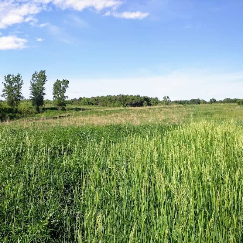 Hodges and North Wildlife Area - Image 1