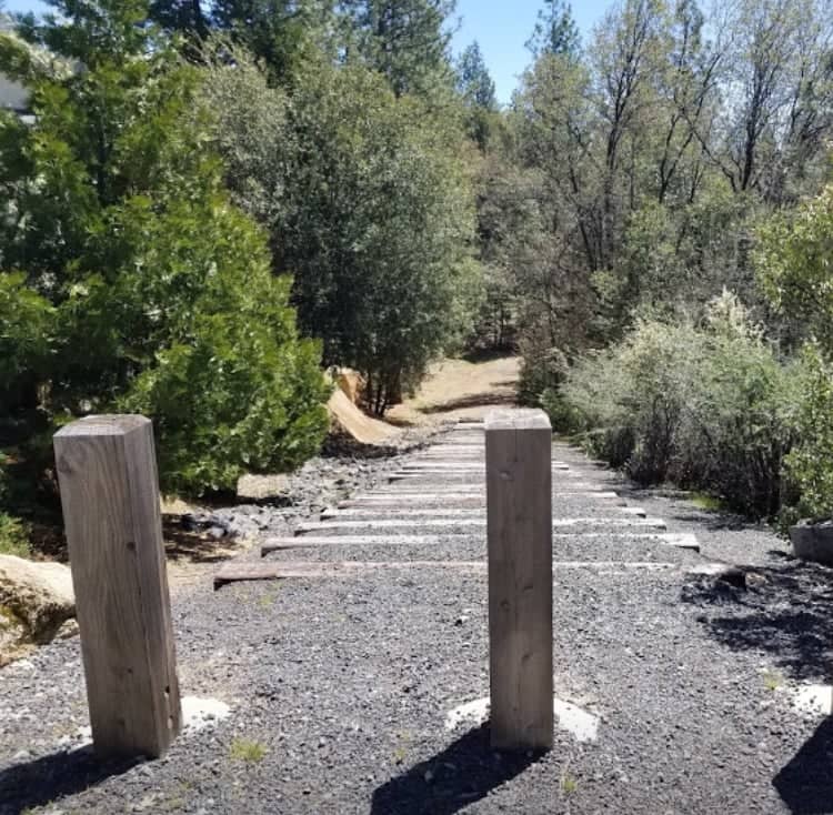 Sugar Pine Railroad Grade - Image 2