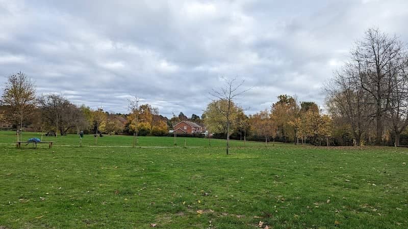 Allsmoor Field - Image 2