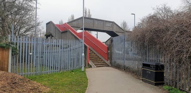 Woody Appeal Park - Image 2