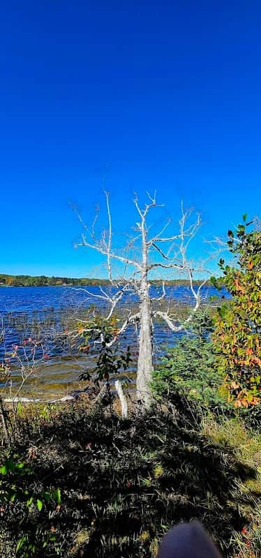 Snowball Lake Wayside Park - Image 1