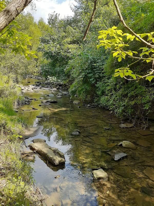 William Resch Park - Image 2