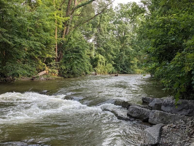 Chittenango Lions Botanical Park & Creekwalk - Image 2