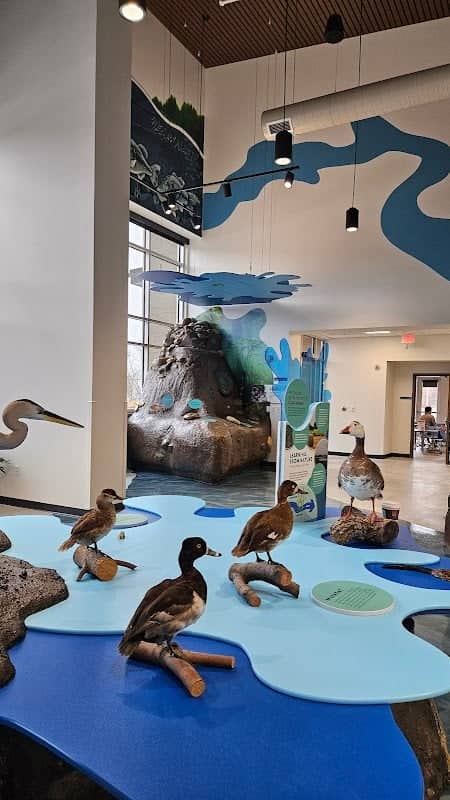 Matt Cosgrove River's Edge Discovery Center - Image 2