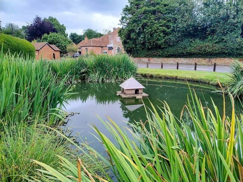Upton Grey Pond - Image 1