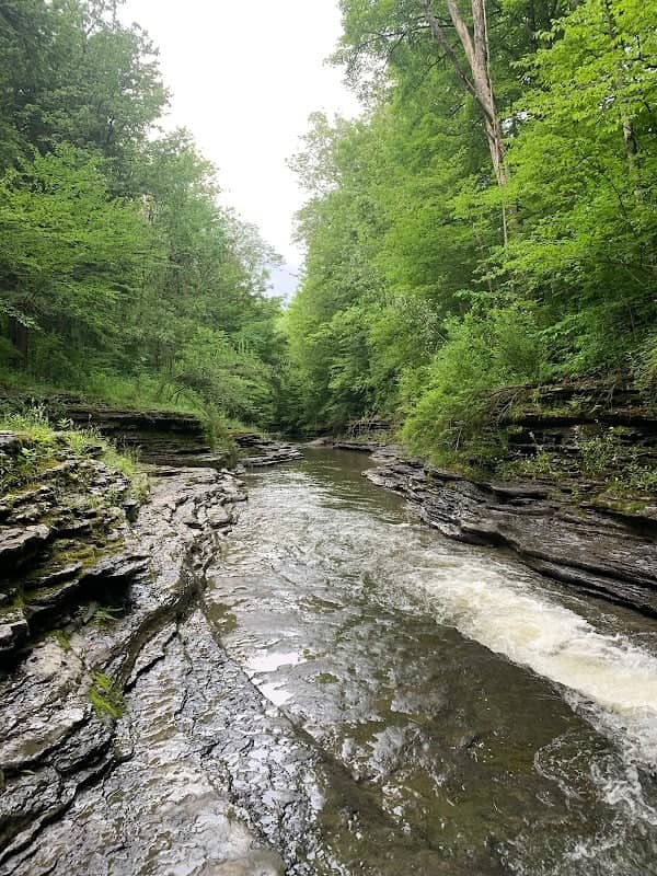 The baths - Image 1
