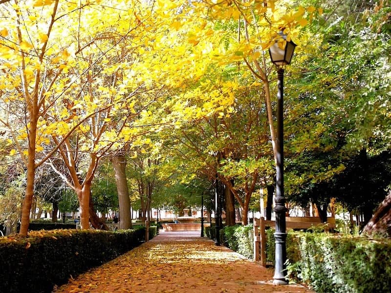 Glorieta Amalio Fernandez Park - Image 1