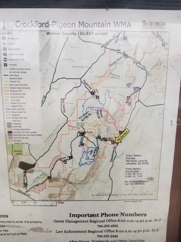 Crockford-Pigeon Mountain Wildlife Management Area - Image 2