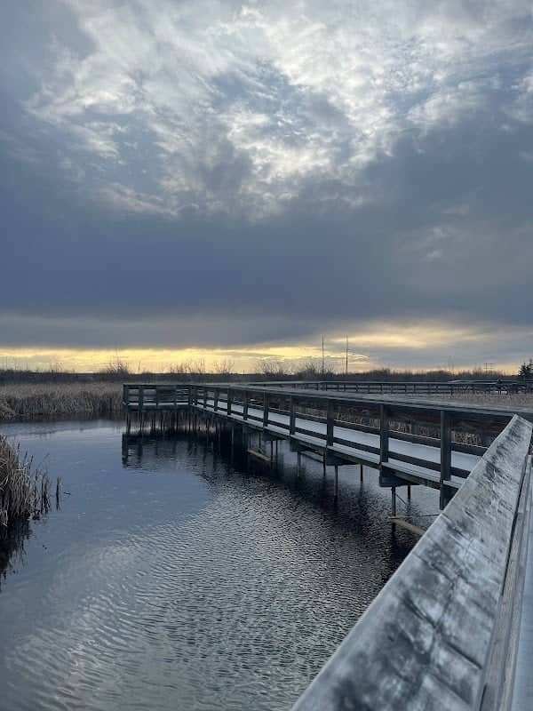 Lois Hole boardwalk - Image 1
