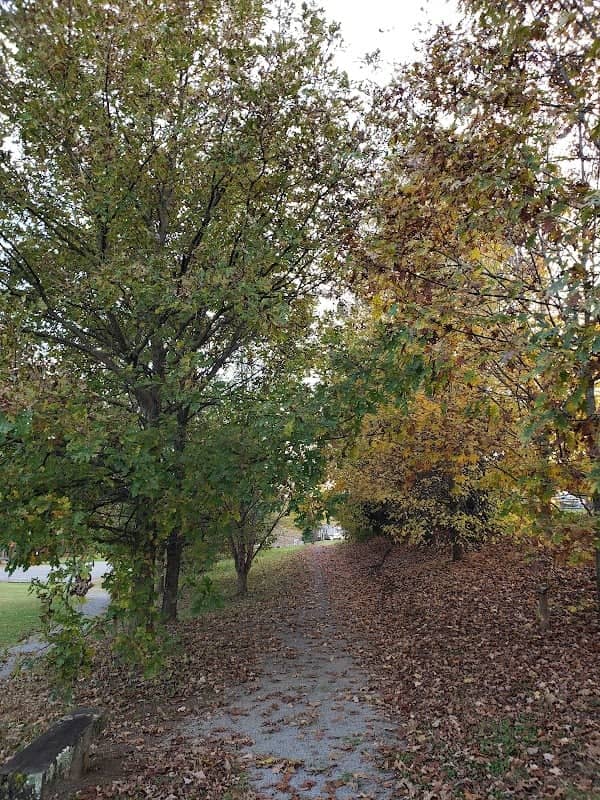 Buffalo Creek Park - Image 1