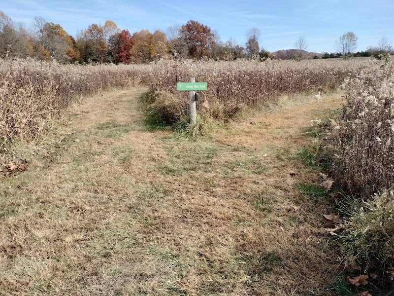 Cedar Run Trailhead - Image 1