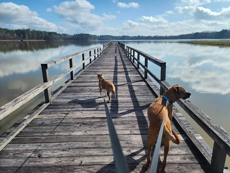 Lake Tom Bailey - Image 2