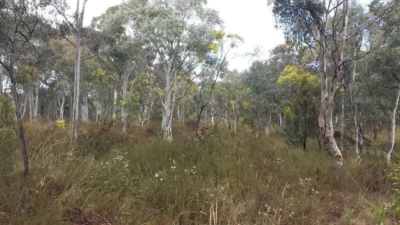 Bicentennial Park - Image 2